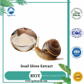 Snail Extract / Snail Slime Extract/Snail Protein Powder